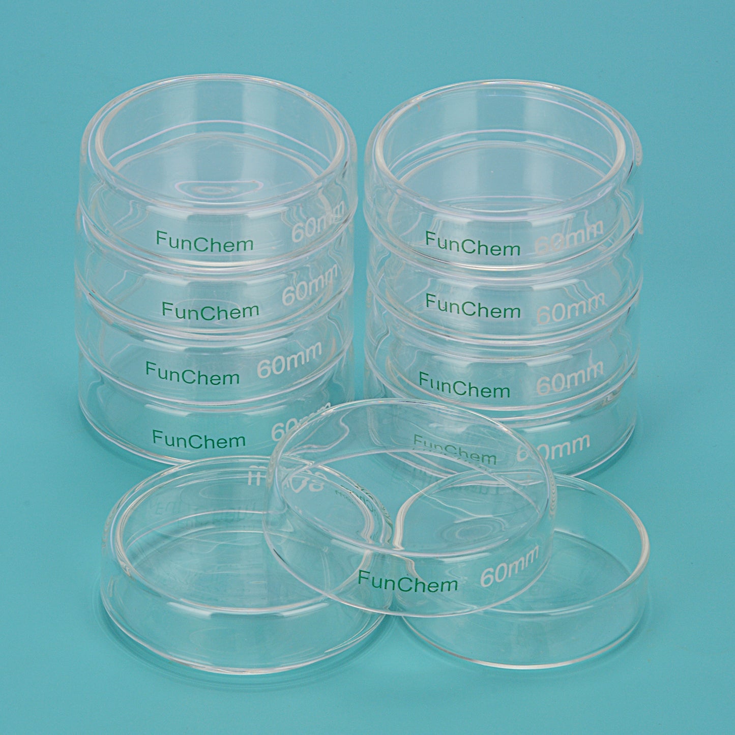 Glass Petri Dishes with Clear Lid