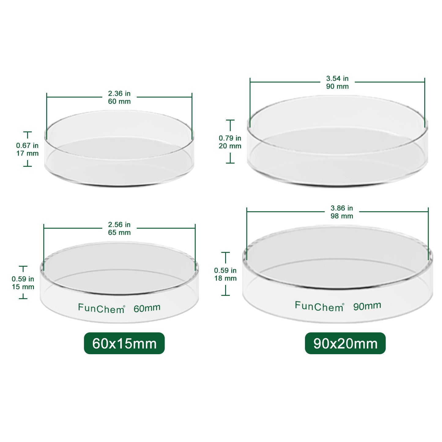 Glass Petri Dishes  with Clear Lid