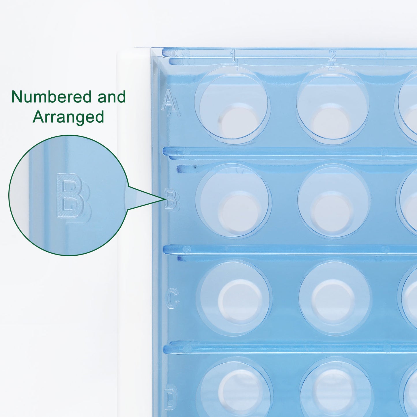 Test Tube Support Stand
