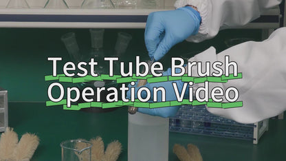 Test Tube Brush, Set of 10